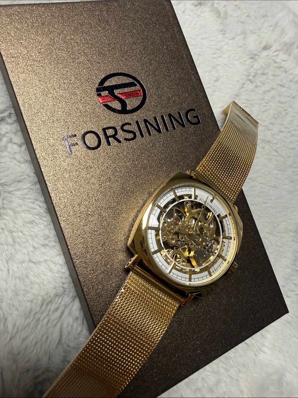 Forsining Gold Skeleton Automatic Watch – Mesh Band